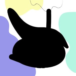 Mecedoras